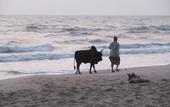 Туры в отель Ao Thai Resort