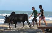 Туры в отель Ao Thai Resort