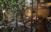 Туры в отель Hotel Au Petit Caporal