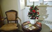 Туры в отель Dukes Corner Guest House