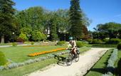 Туры в отель Dukes Corner Guest House