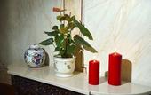 Туры в отель Dukes Corner Guest House
