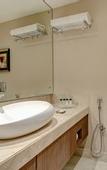 Туры в отель Holiday Inn Kolkata Airport by IHG