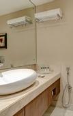 Туры в отель Holiday Inn Kolkata Airport by IHG