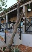 Туры в отель The Belgium Inn