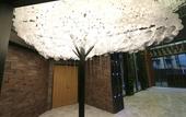 Туры в отель Cosy Park Hotel