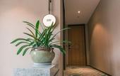 Туры в отель Cosy Park Hotel