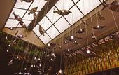 Туры в отель Cosy Park Hotel