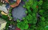 Туры в отель Cosy Park Hotel