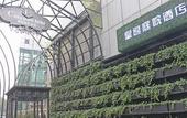 Туры в отель Cosy Park Hotel