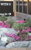 Туры в отель WITH U Hotel & Guesthouse