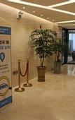 Туры в отель Golden Daisy Hotel