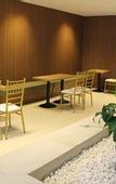 Туры в отель Golden Daisy Hotel