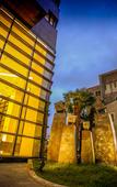 Туры в отель Golden Daisy Hotel
