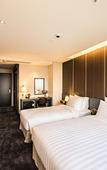 Туры в отель Golden Daisy Hotel