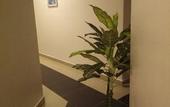 Туры в отель Night Queen Hotel