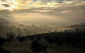 Туры в отель Fattoria di Maiano