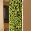 Туры в отель Ddream Hotel