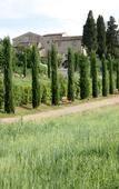 Туры в отель Tenuta Sant'Ilario