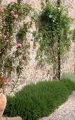 Туры в отель Tenuta Sant'Ilario
