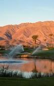Туры в отель Borrego Springs Resort & Spa