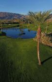 Туры в отель Borrego Springs Resort & Spa