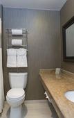 Туры в отель Borrego Springs Resort & Spa