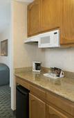 Туры в отель Borrego Springs Resort & Spa