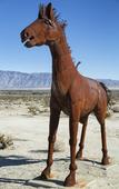 Туры в отель Borrego Springs Resort & Spa