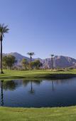 Туры в отель Borrego Springs Resort & Spa