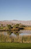 Туры в отель Borrego Springs Resort & Spa