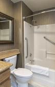 Туры в отель Borrego Springs Resort & Spa