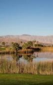 Туры в отель Borrego Springs Resort & Spa
