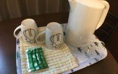 Туры в отель Randor Residence Kyoto Classic