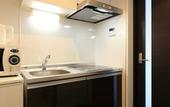 Туры в отель Randor Residence Kyoto Classic