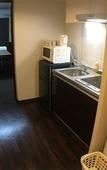 Туры в отель Randor Residence Kyoto Classic