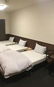 Туры в отель Randor Residence Kyoto Classic