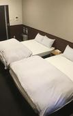Туры в отель Randor Residence Kyoto Classic