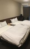 Туры в отель Randor Residence Kyoto Classic