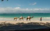 Туры в отель Bahari Dhow Beach Villas