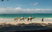 Туры в отель Bahari Dhow Beach Villas