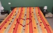 Туры в отель B&B Bentivogli