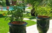 Туры в отель Villa Valflor chambres d'hotes et appartements