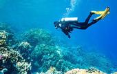 Туры в отель The Barat Tioman Beach Resort
