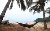 Туры в отель The Barat Tioman Beach Resort