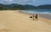 Туры в отель The Barat Tioman Beach Resort