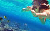 Туры в отель The Barat Tioman Beach Resort