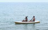 Туры в отель The Barat Tioman Beach Resort
