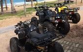 Туры в отель The Barat Tioman Beach Resort