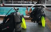 Туры в отель The Barat Tioman Beach Resort